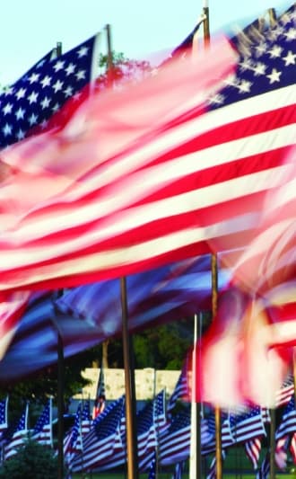 American flags waving